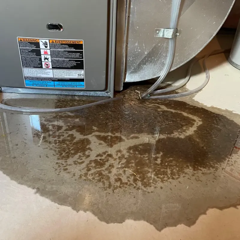 Appliance Leak Cleanup in Dubois, ID