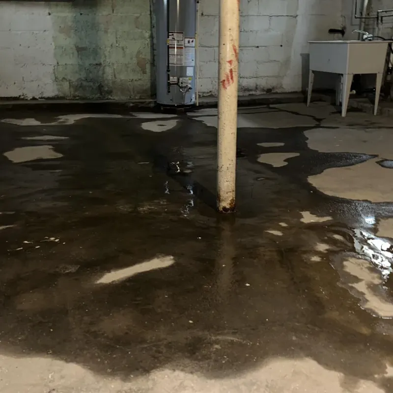 Emergency Water Extraction And Removal in Dubois, ID